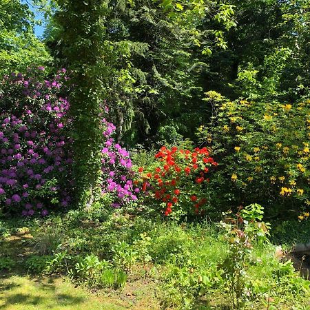 Ferienhaus Hudemuehlen Keine Monteure Годенгаген Екстер'єр фото